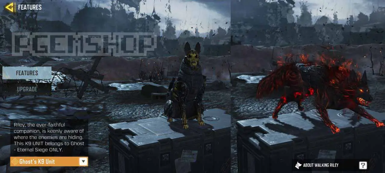 گردونه شانس Ghost mythics در بازی کالاف دیوتی